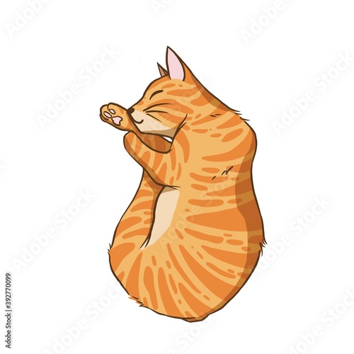A orange tabby cat curled up to sleep. Cartoon character for decoration in pet artwork advertising, clip art, textbook for small children. © fayfena