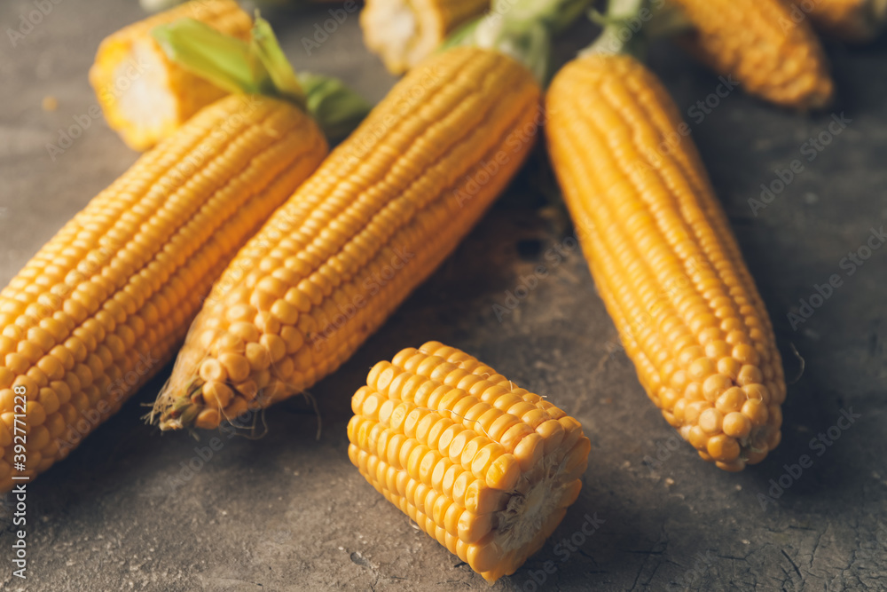 Fresh corn cobs on grey background Fresh corn cobs on grey background