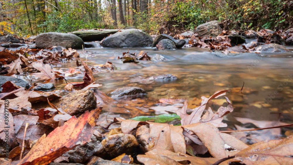 Low angle view of Cheaha Creek with autumn leaves in foreground