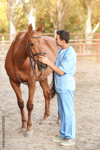 Canvastavla Veterinarian examining cute horse outdoors