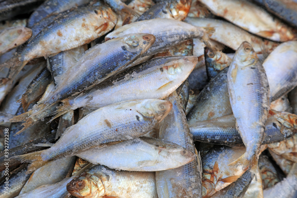 Piles of fresh fish