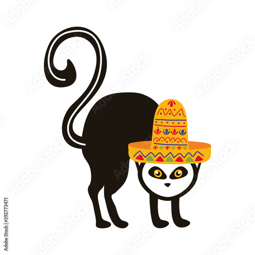 cat with mexican hat culture isolated icon