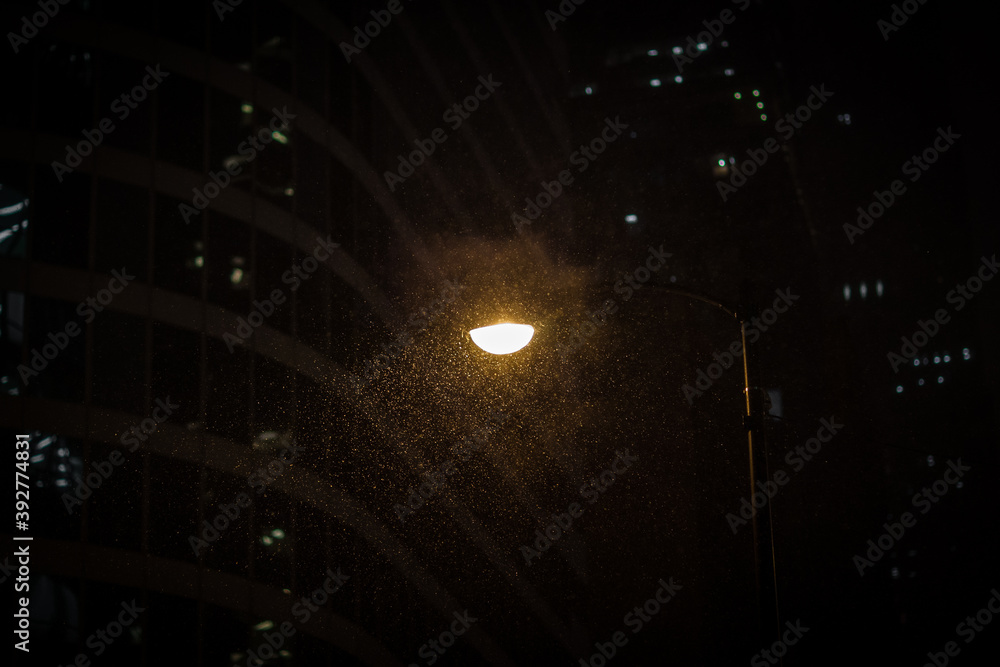 Winter Snow falling Under an Urban City Street Light Winter Snow falling Under an Urban City Street Light