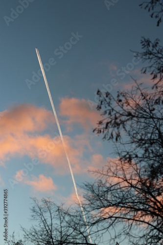 Airplane footprint and tree branch against the background of the sky and pink clouds