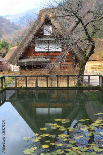 Traditional Japanese wooden house with a lotus pond on the foreground © Christina