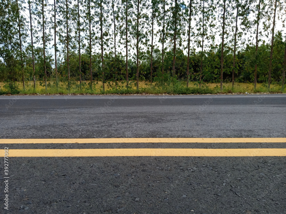 Obraz premium Yellow traffic lines and trees
