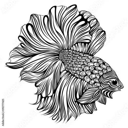 The small beta fish with the big and long tail the body full of zentangle