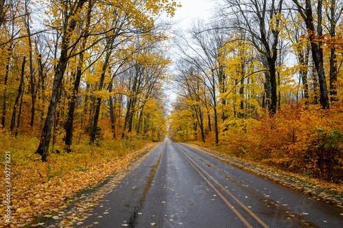 A road through forest with Autumn yellow leaves at Pictured Rock National Lakeshore in Michigan. Fall colors