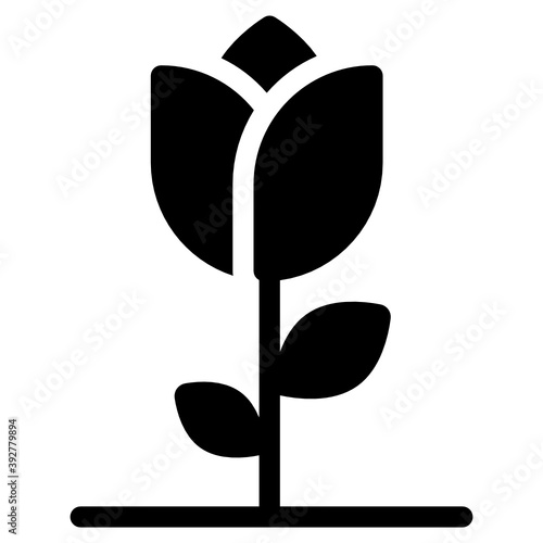 
A fragrant flower solid icon, rose 
