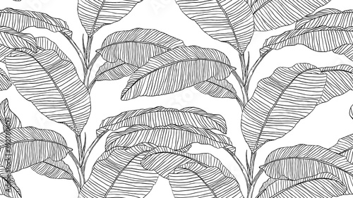 Botanical seamless pattern, hand drawn line art banana tree on white