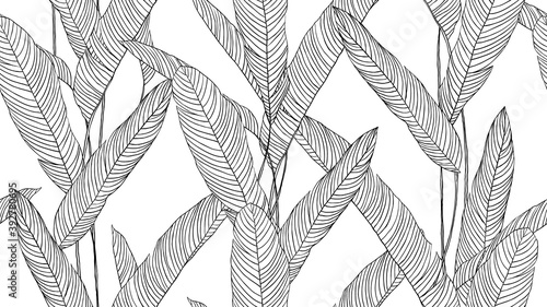 Botanical seamless pattern, hand drawn line art tropical plant on white