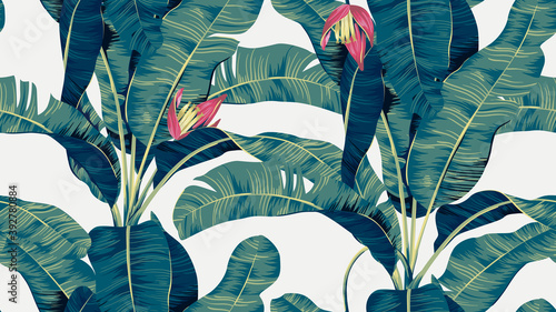 Botanical seamless pattern, hand drawn banana tree on bright grey