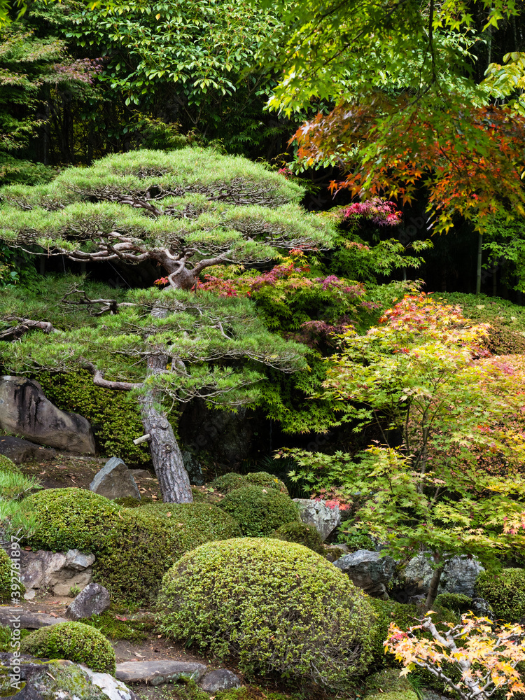 Traditional Japanese landscape garden in early fall Traditional Japanese landscape garden in early fall