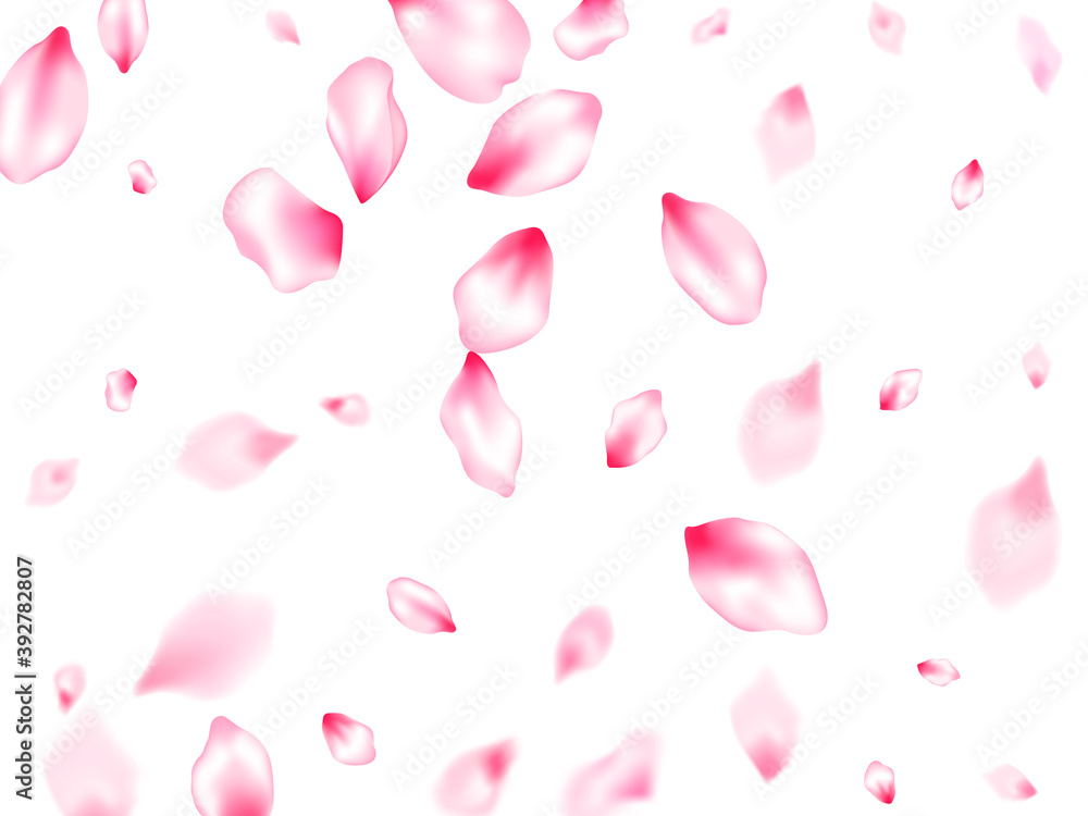 Spring blossom isolated petals flying Spring blossom isolated petals flying
