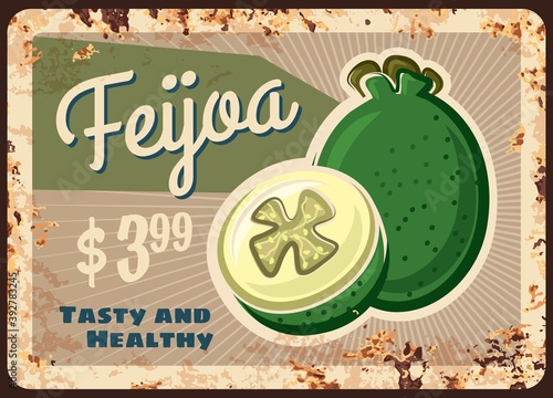 feijoa rusty metal plate, vector vintage rust tin sign with ripe sweet exotic fruit, price tag for retail. Orchard organic production retro poster or shop ad promo, ferruginous label for farm market