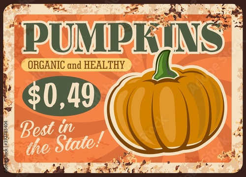 Farm pumpkin rusty metal vector plate. Harvested ripe pumpkin, winter squash fruit. Organic and healthy food, local farm product, grocery store or vegetable shop retro banner or sigh with rust