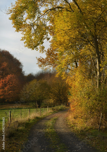 goldener Herbst