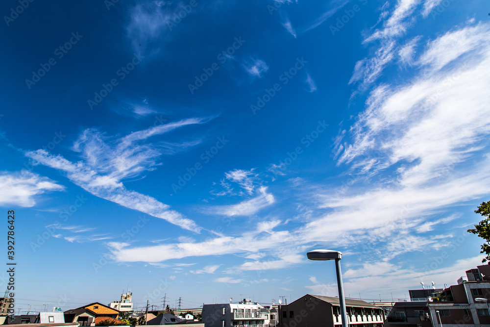 Blue sky in the Tokyo_03