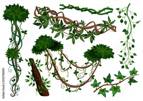 Tropical Lianas Set 