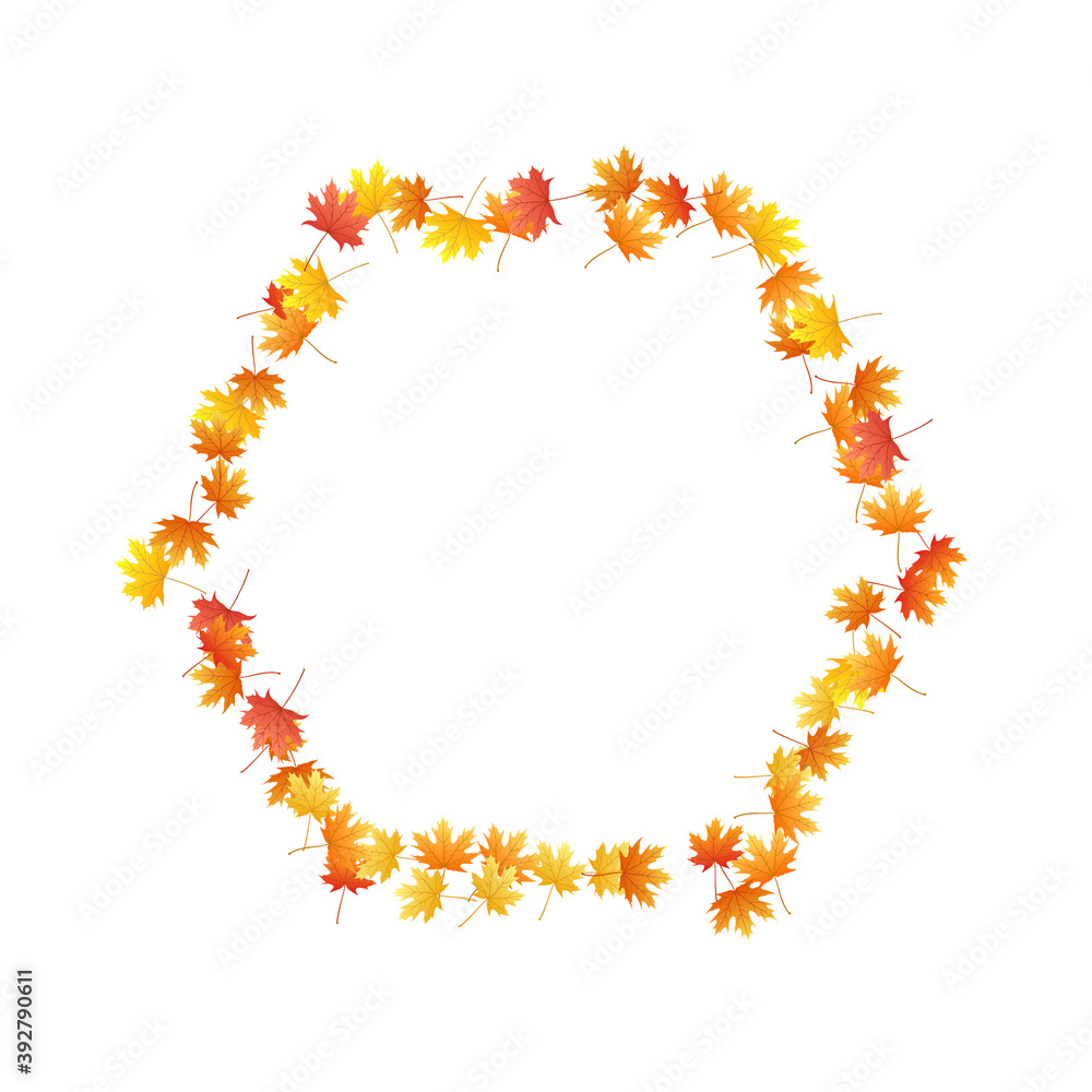 Fototapeta premium Maple leaves vector background, autumn foliage on white graphic design.