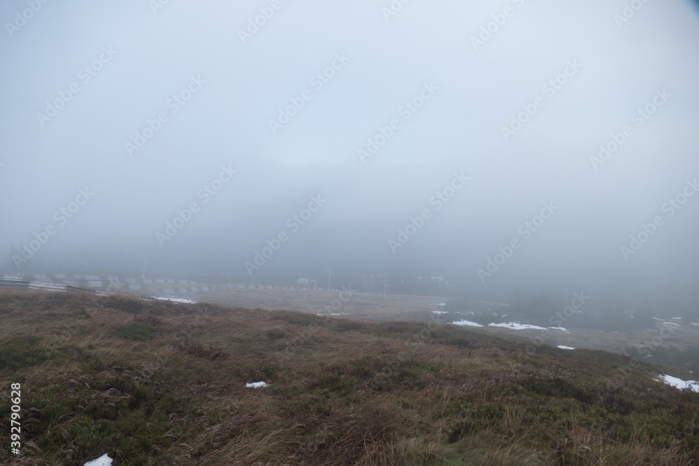 fog on the mountain trail meadow fog on the mountain trail meadow