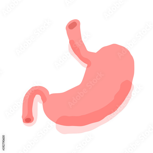 Human stomach; Hand drawn vector illustration like woodblock print