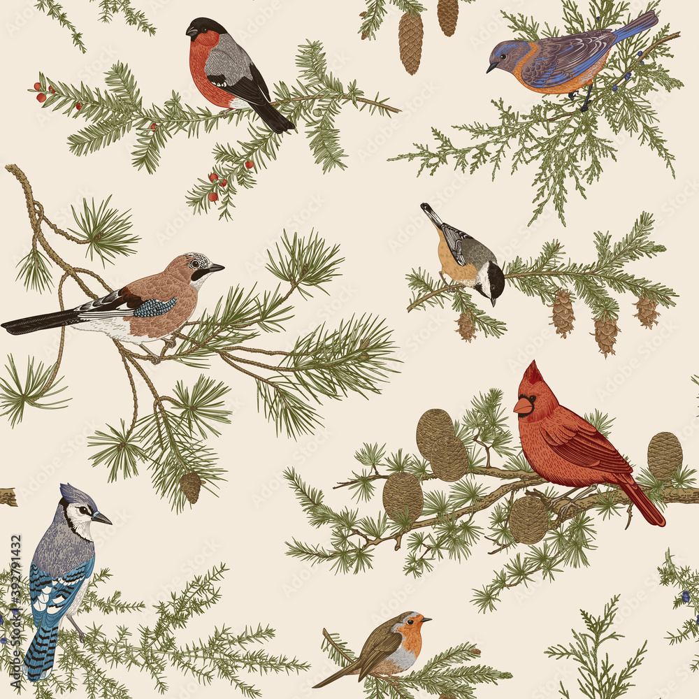 Winter Birds. Set. Tit, Robin, Jay, Blue jay, Bullfinch, Bluebird, Red  cardinal. Botanical vector vintage illustration. Colorful Stock Vector