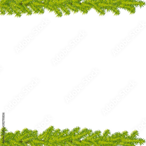 Beautiful christmas tree branches with thorns frame. Realistic vector background.
