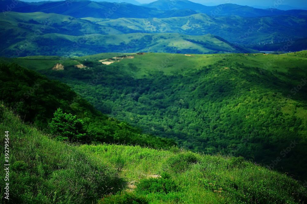 Fototapeta premium landscape hills with forest
