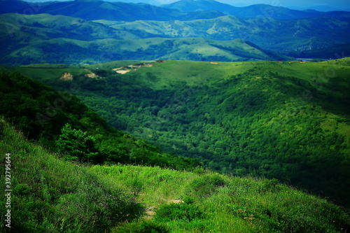 landscape hills with forest © kichigin19