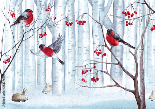 Watercolor winter birds © Юлия Бисерова