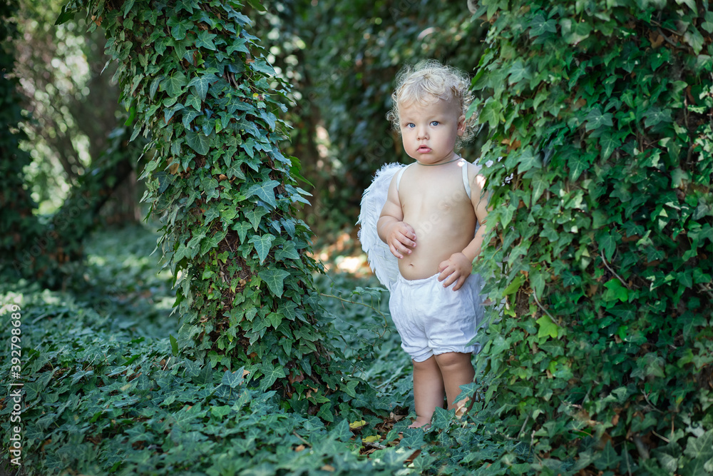 A calm little boy with white wings and white pantaloons standing among thickets of green ivy in the forest.