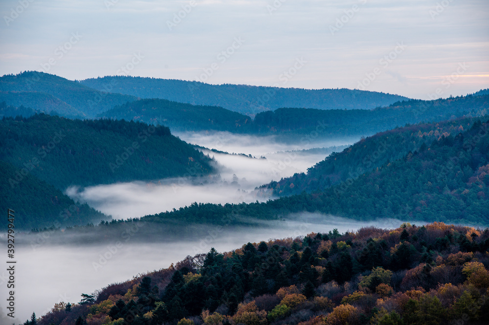 mountains in the fog