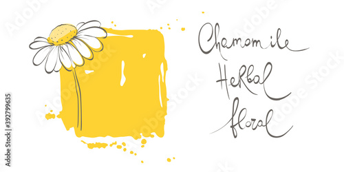 Decorative daisies. Vector design element, border, frame of chamomile.	