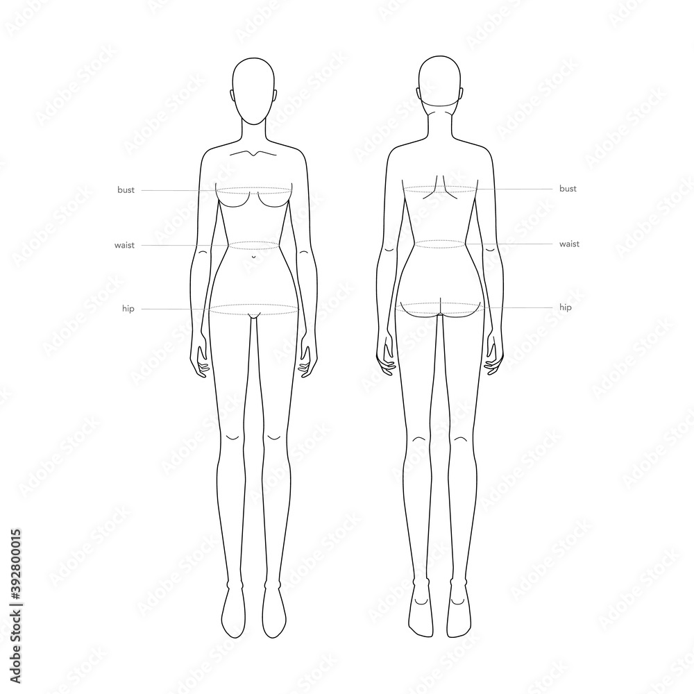 Women standard body parts terminology measurements Illustration