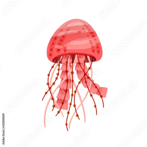 Red bright medusa isolated on white background. Marine jellyfish with tentacl...