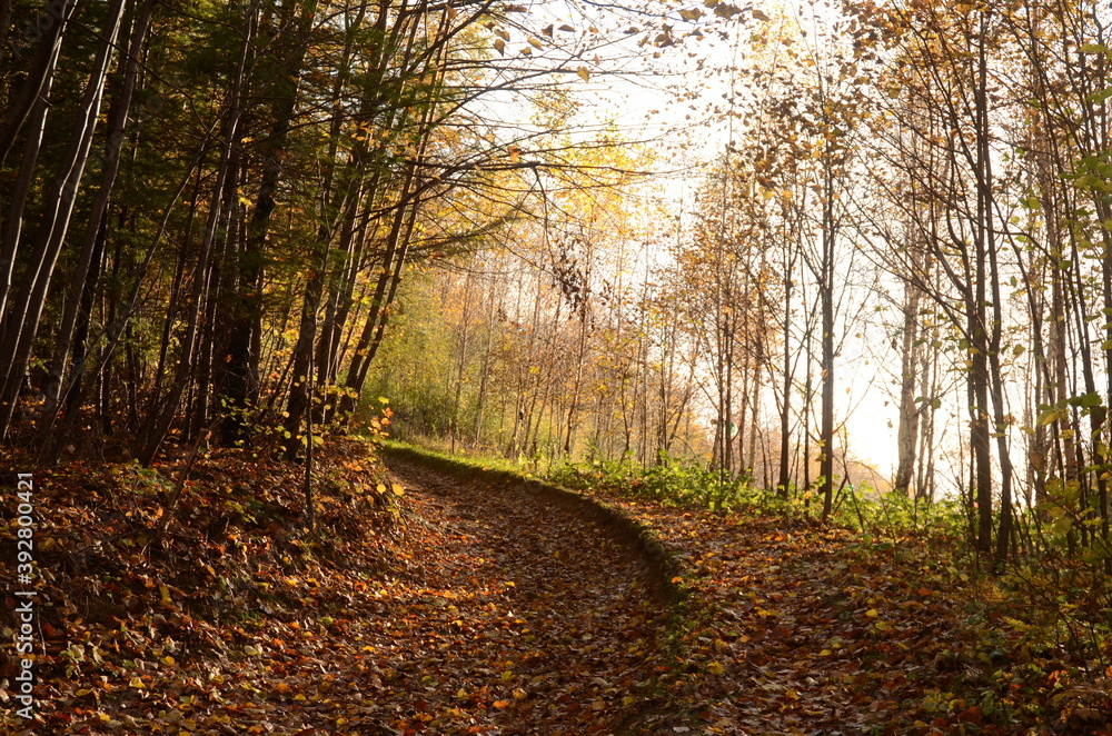 Fototapeta premium Beskid Niski (2)