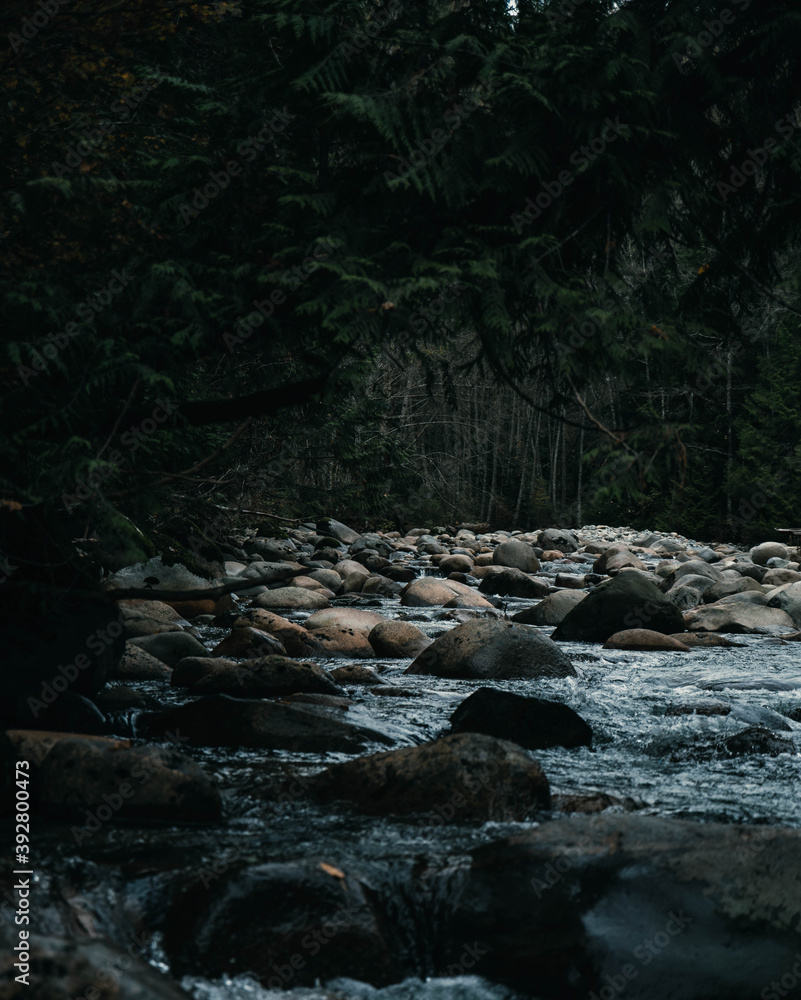 River Stream River Stream