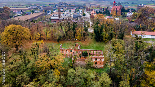 Ruiny pałacu w Łubowicach, jednopiętrowego, barokowego, zbudowanego w 1786 r....