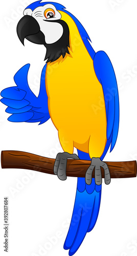 parrot bird cartoon thumbs up