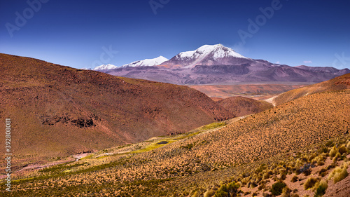 Altiplano landscape with the volcano Guallatiri in the high Andes in northern Chile photo