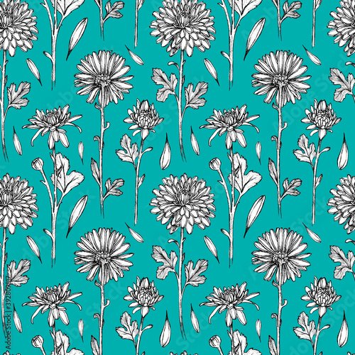 Black and white seamless pattern with chrysanthemum flowers. Objects isolated on white background.