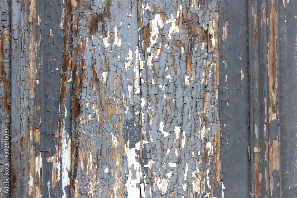 The surface of old wooden boards with peeling and weathered paint. The surface of old wooden boards with peeling and weathered paint.