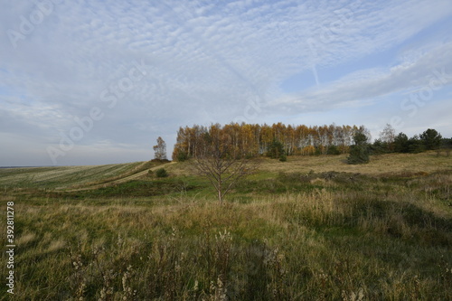 The wonderful panoramic view of a Kashubian field