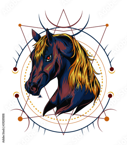 ferocious horse illustration with sacred geometry background.