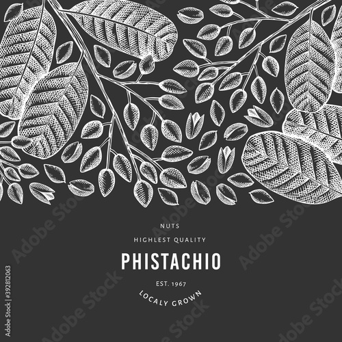 Hand drawn phistachio branch and kernels design template. Organic food vector illustration on chalk board. Retro nut illustration. Engraved style botanical banner.