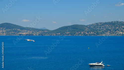 seagull flying over the Mediterranean sea and boats harboring