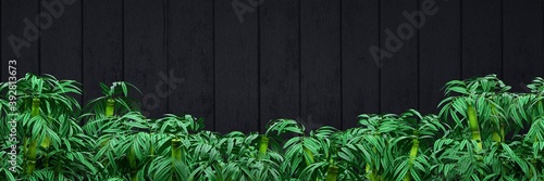 Vertical matte black boards wallpaper with bamboo plants.