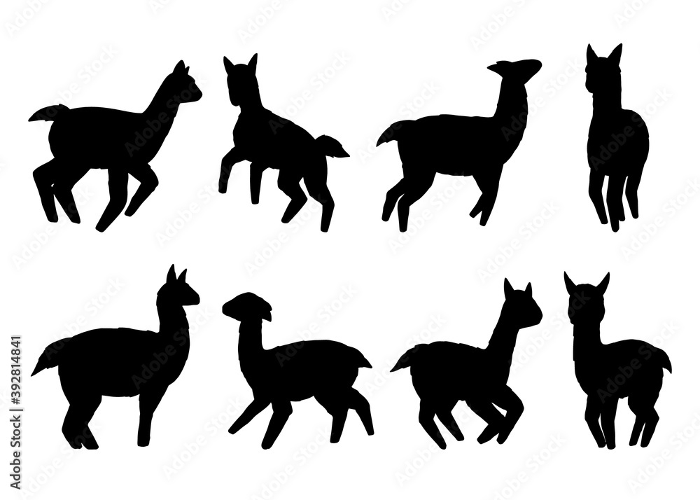 Llamas silhouette collection. Vector illustration set. Isolated on white background Llamas silhouette collection. Vector illustration set. Isolated on white background