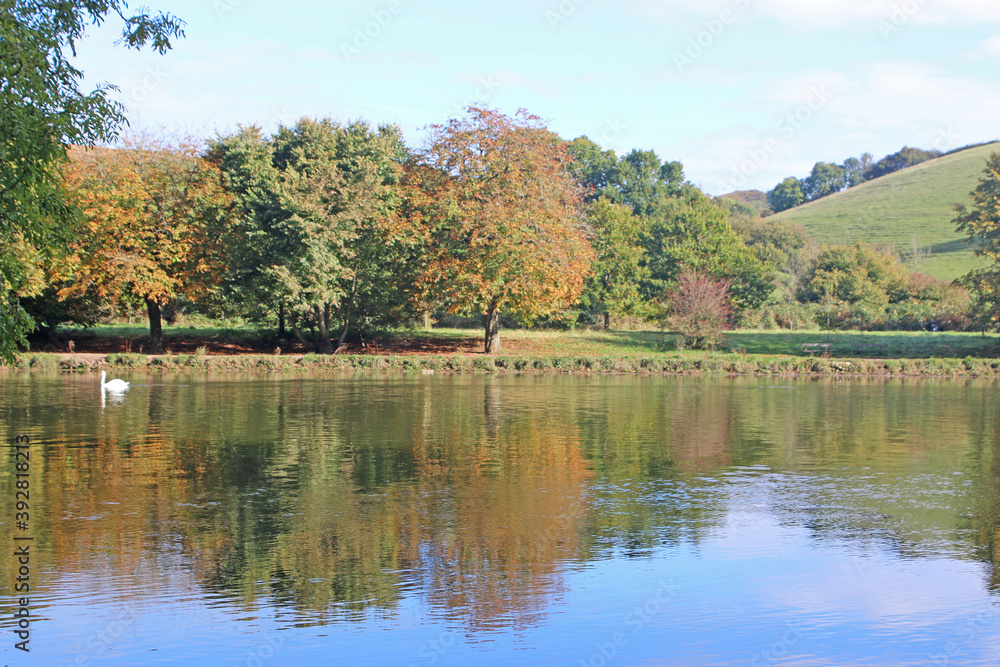 Autumn Reflections in the River Dart, Devon	
